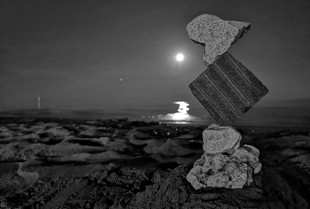 IL PESCE E LA LUNA