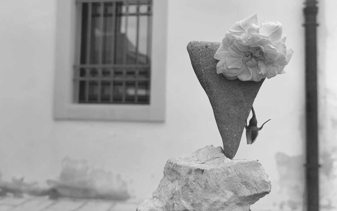 ANCHE I PETALI SPOSTANO L’EQUILIBRIO